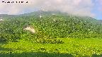 area2-20250711062039.jpg