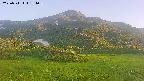 area2-20250711184037.jpg