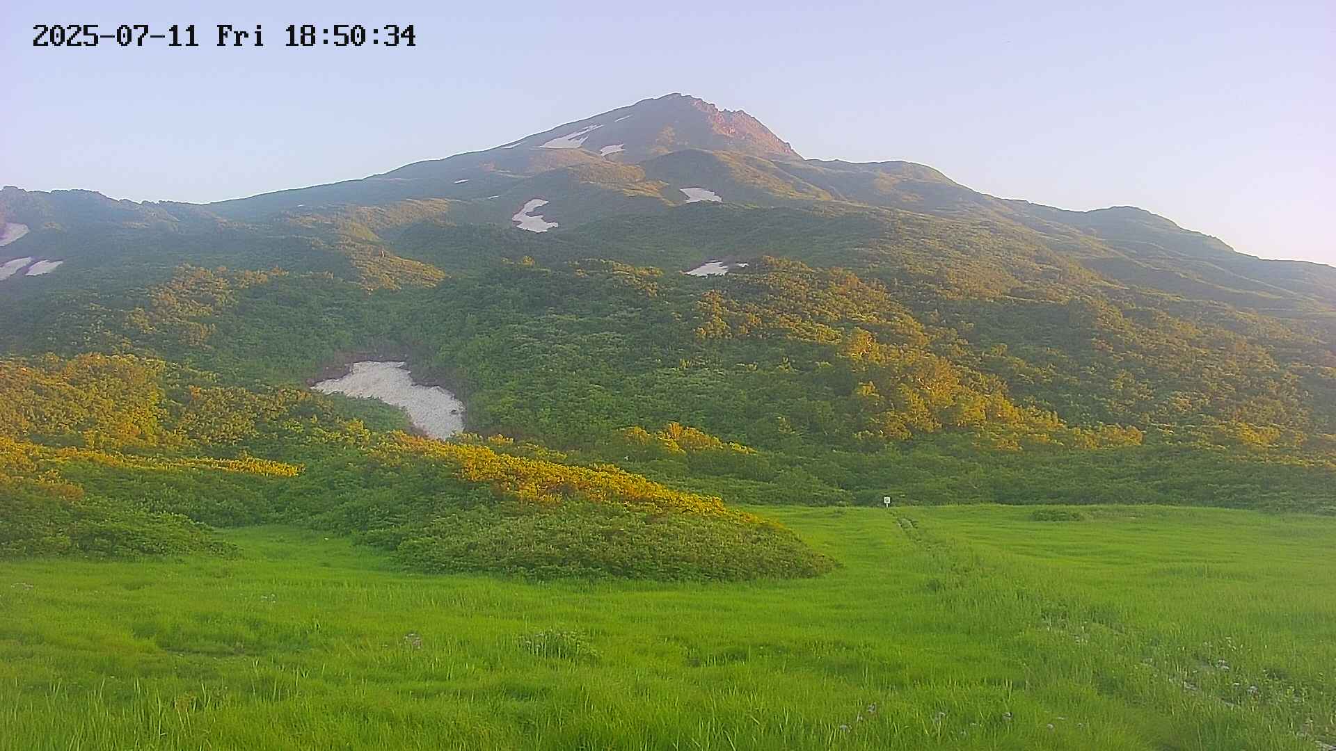 area2-20250711185036.jpg