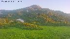 area2-20250711185036.jpg