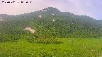 area2-20250712065037.jpg