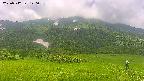 area2-20250712120037.jpg