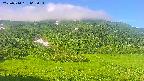 area2-20250714065032.jpg