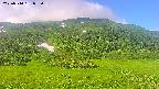 area2-20250714073035.jpg