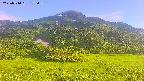 area2-20250714173040.jpg