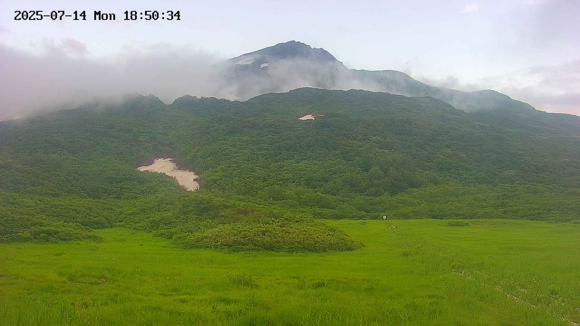 area2-20250714185036.jpg