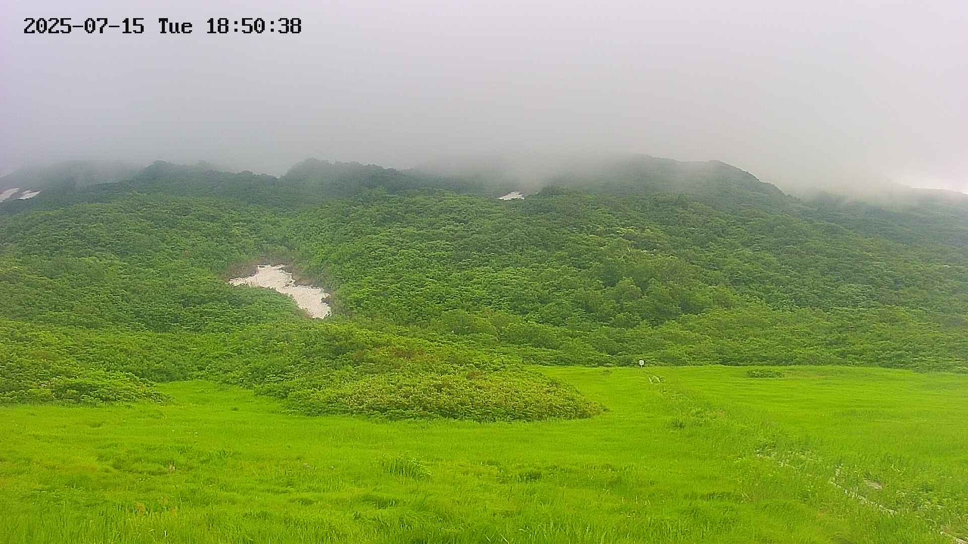 area2-20250715185039.jpg