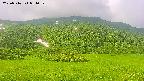 area2-20250716081034.jpg