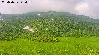 area2-20250716082033.jpg