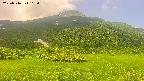area2-20250716103040.jpg