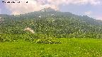 area2-20250716133040.jpg