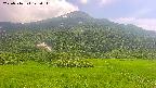 area2-20250716142041.jpg