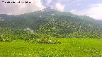 area2-20250716144100.jpg