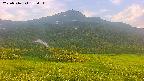 area2-20250716182037.jpg