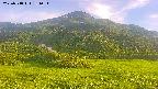 area2-20250718181036.jpg
