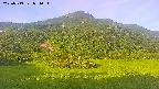area2-20250719054038.jpg