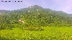 area2-20250719071049.jpg