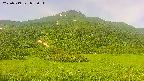area2-20250719072039.jpg