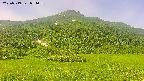 area2-20250719091039.jpg