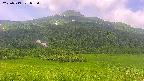 area2-20250719095036.jpg