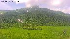 area2-20250719100035.jpg