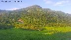 area2-20250720051036.jpg