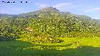area2-20250720053035.jpg
