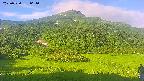 area2-20250720061034.jpg