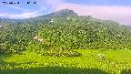 area2-20250720062035.jpg
