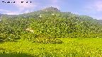 area2-20250720065036.jpg