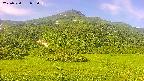 area2-20250720073036.jpg