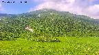 area2-20250720081035.jpg