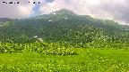 area2-20250720105035.jpg