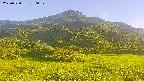 area2-20250720180035.jpg