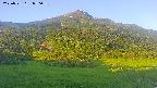 area2-20250721050036.jpg