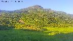area2-20250721051036.jpg