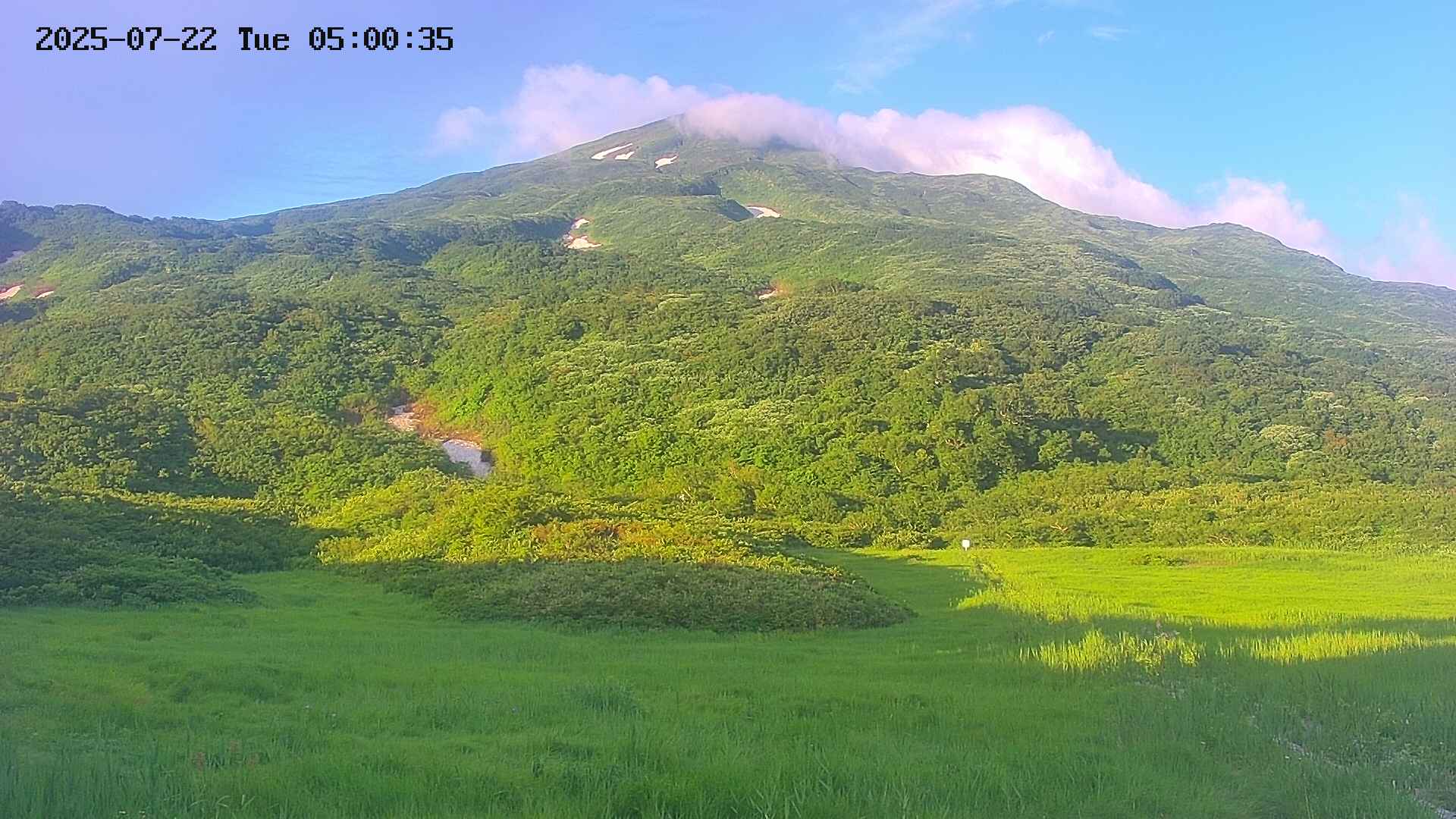 area2-20250722050038.jpg