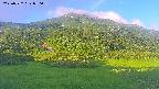 area2-20250722050038.jpg