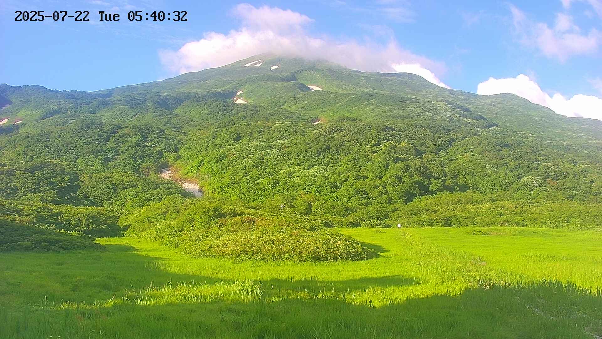 area2-20250722054033.jpg