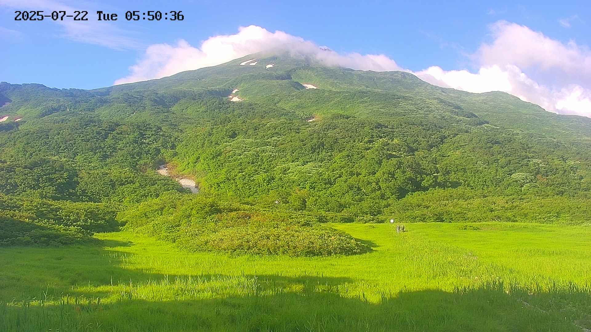 area2-20250722055037.jpg