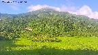 area2-20250722060034.jpg