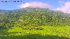 area2-20250722061035.jpg