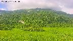 area2-20250722074037.jpg