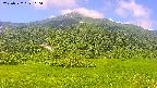 area2-20250722100036.jpg