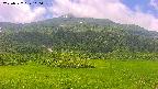 area2-20250722110037.jpg