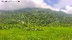 area2-20250722121038.jpg