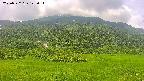 area2-20250722122035.jpg