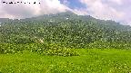 area2-20250722123040.jpg