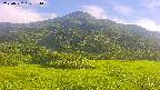 area2-20250722171037.jpg