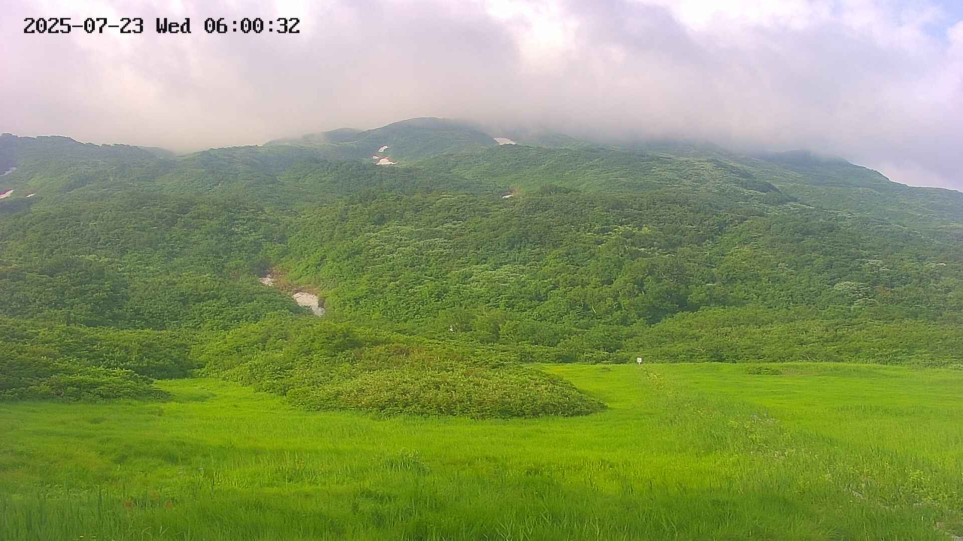 area2-20250723060033.jpg